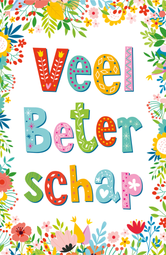 Budget Beterschap