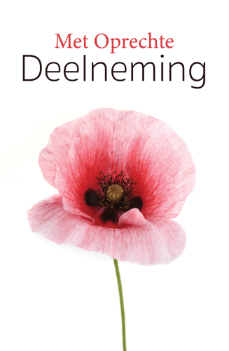 Budget Deelneming