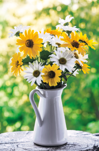 Budget Blanco Bloemen