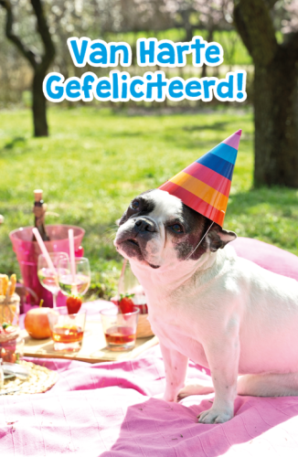 Budget Gefeliciteerd Humor