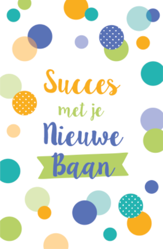 Budget Nieuwe Baan