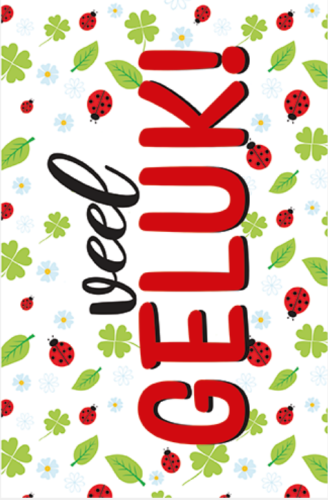 Budget Succes/Geluk