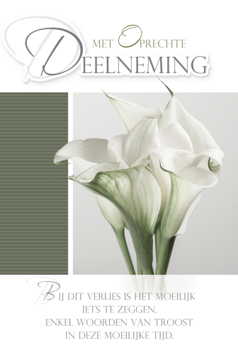 Luxe Deelneming 1