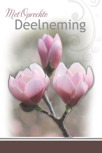 Luxe Deelneming 2
