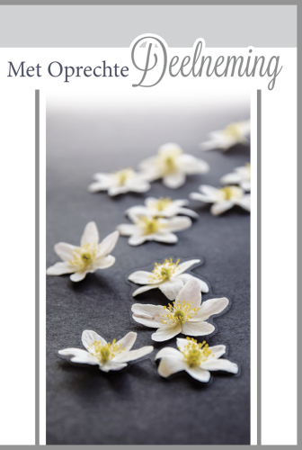Luxe Deelneming 6