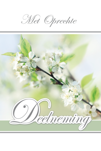 Luxe Deelneming 7