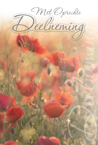 Luxe Deelneming 8