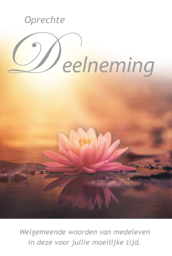Luxe Deelneming 10
