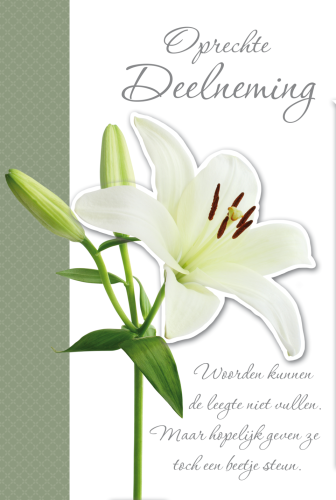 Luxe Deelneming 11