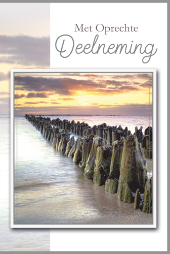 Luxe Deelneming 12