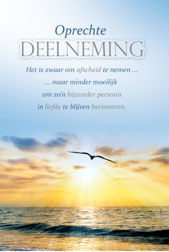 Luxe Deelneming 15