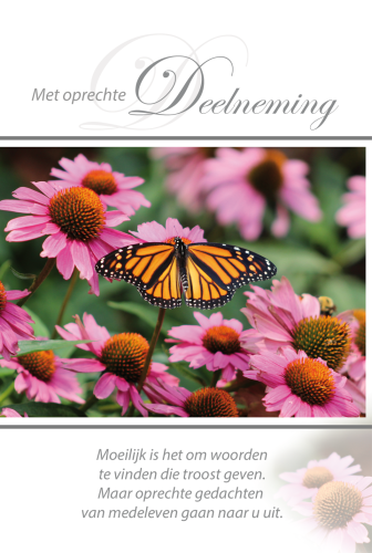 Luxe Deelneming 17