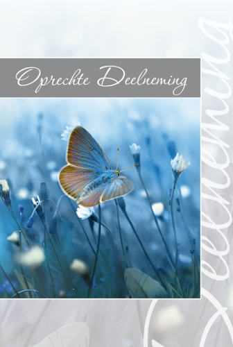 Luxe Deelneming 18