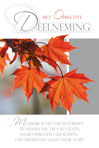 Luxe Deelneming 19
