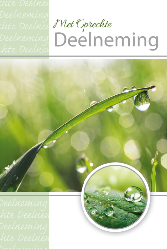 Luxe Deelneming 25