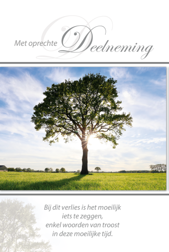 Luxe Deelneming 28