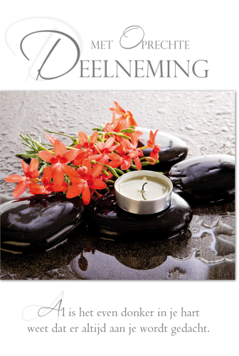 Luxe Deelneming 31