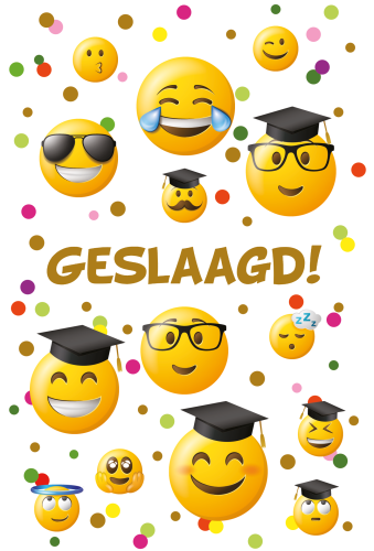 Luxe Geslaagd 2