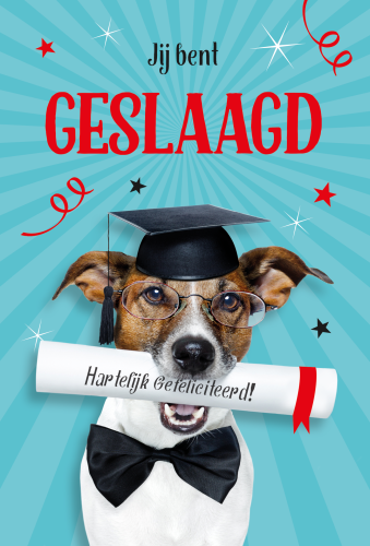 Luxe Geslaagd 3