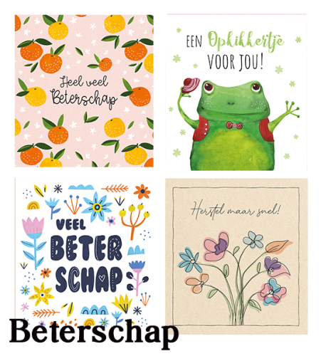 Navulset Beterschap 50 stuks