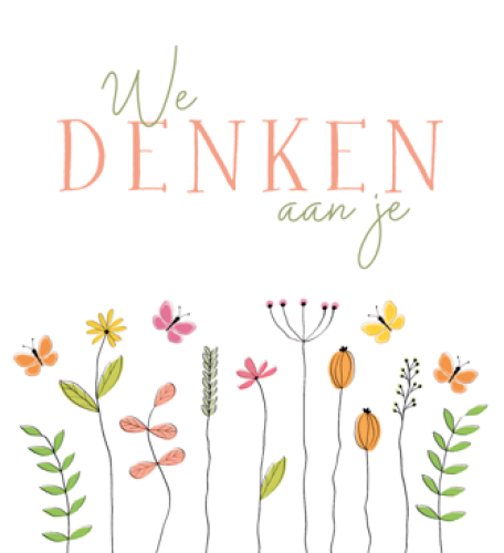Vierkant Budget 54a