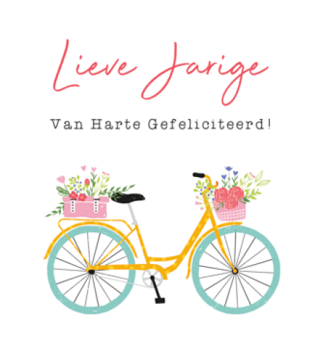Vierkant Budget 11b