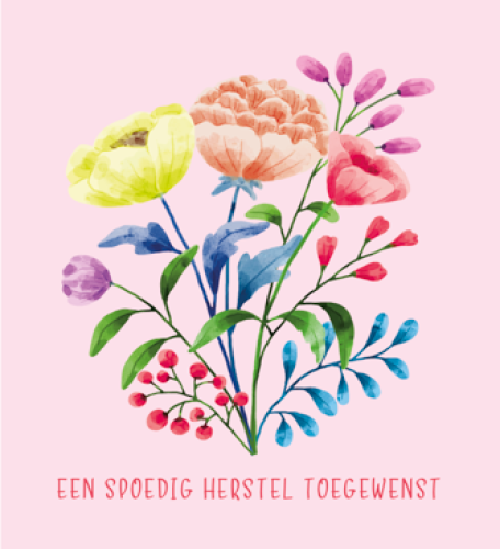 Vierkant Budget 50b