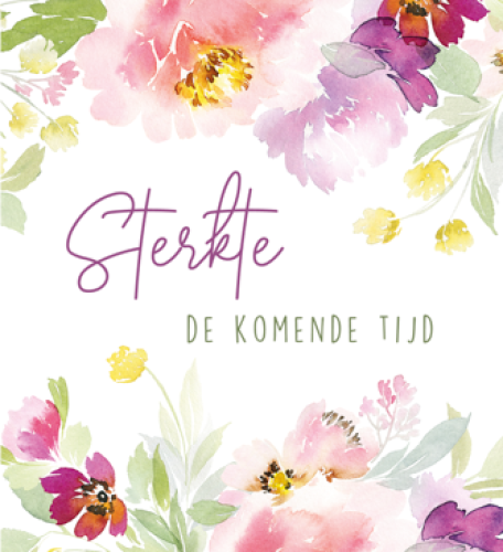 Vierkant Budget 57b