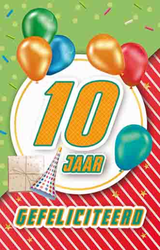 Budget 10 jaar