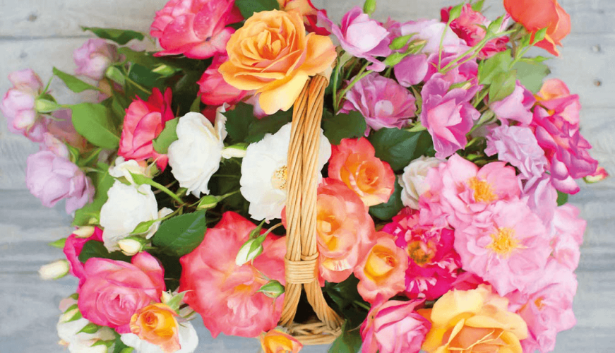 Cadeau Envelop 41