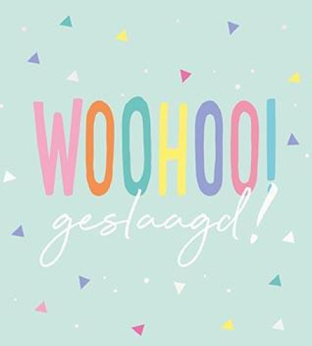 Vierkant Budget geslaagd 10