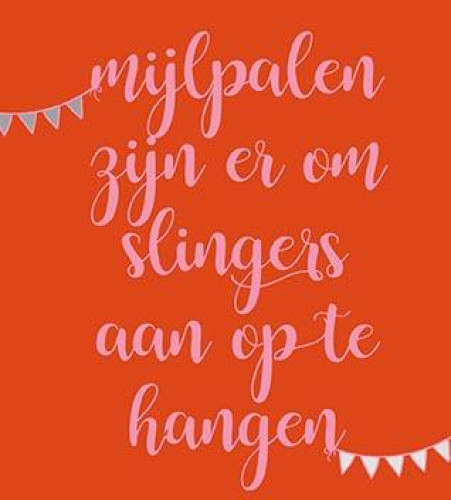 Vierkant Budget geslaagd 14