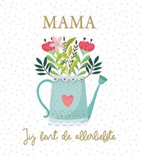 Vierkant Budget Moederdag 40