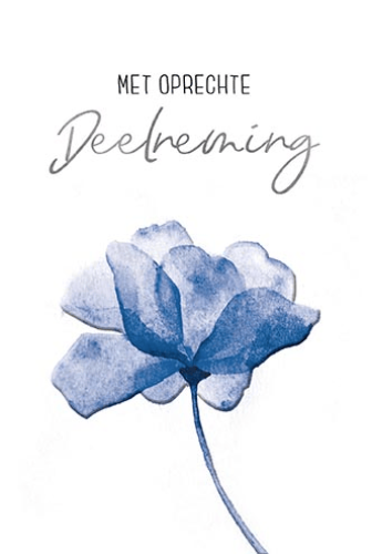 Luxe Deelneming 2
