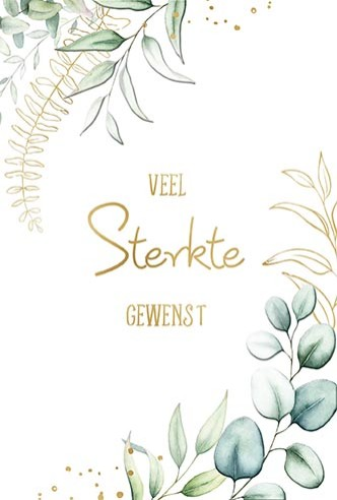 Luxe Deelneming 11