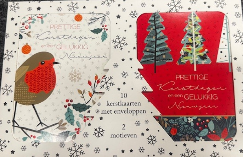 Budget kerstdoos 10-pack