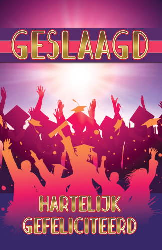 Budget Geslaagd 3