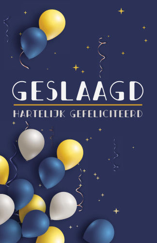 Budget Geslaagd 4