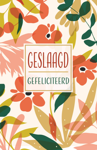 Budget Geslaagd 7