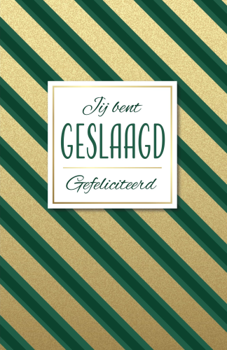 Budget Geslaagd 9