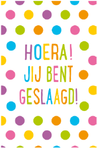 Budget Geslaagd 12