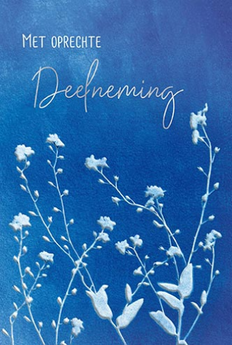 Luxe Deelneming 30