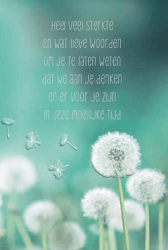 Luxe Deelneming 33