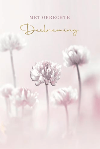 Luxe Deelneming 17