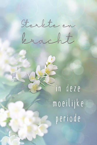 Luxe Deelneming 23