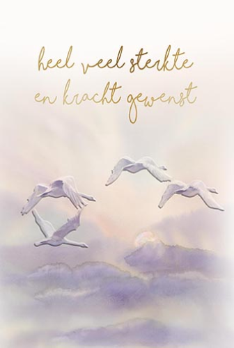 Luxe Deelneming 2